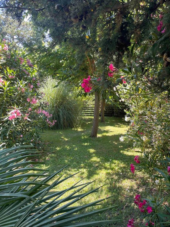 Gites Au Chateau Des Estubiers Les Granges-Gontardes Extérieur photo